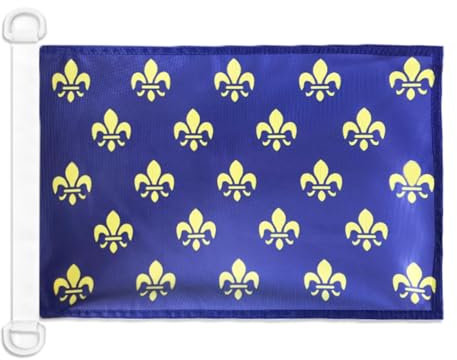 AZ FLAG - Drapeau Fleur de Lys Bleu et Or - 45x30 cm - Pavillon Nautique Royal Français Spécial Bateau Et Extérieur En Maille Bloquée Avec Anneaux Plastiques Intégrés - 30g