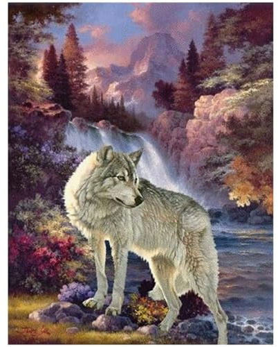 Diamante quadrato 40x50cm square diamond painting grandi dimensioni 5D lupo pietre a cascata pittura a mosaico fai da te con i numeri puzzle con perline adesivi disney per decorazione da parete