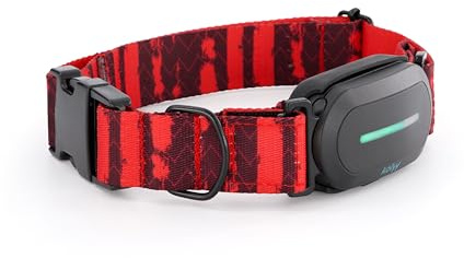 Kolyy Series 2 GPS-Halsband für Hunde, Steuerung über App, internationale Echtzeitlokalisierung, Gesundheitsüberwachung, 3 sichere Zonen, hergestellt in Spanien, rot, Talla L (42cm - 59cm)