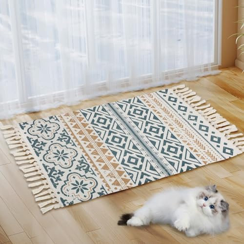 Boho Area Rugs for Living Room, 60 x 90 cm Small Cotton Woven Area Rugs with Tassel, Vintage Farmhouse Bohemian Throw Rug, Washable Floor Carpet for Kitchen, Bedroom, Laundry Room, Entryway Indoor