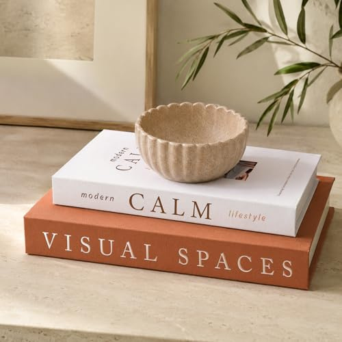 Cenjeery Libros Decorativos Minimalistas para Decoración del Hogar – Juego de 2 Libros Falsos Estéticos, Realzan la Decoración de la Mesa de Centro, Repisa o Estantería