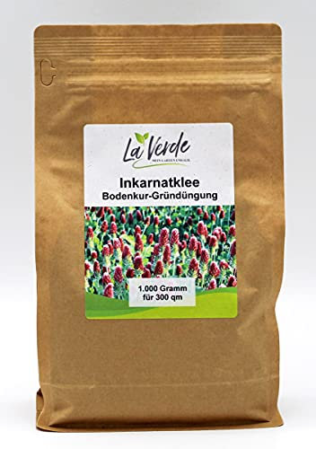 Inkarnatklee 1 Kg Samen - Bodenkur