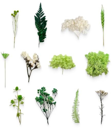 KSJEHW Fiori secchi Decorativi Naturali - Composizione Fiori secchi Bouquet Naturali (Verde)