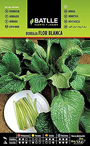 Semillas Batlle Borraja Flor Blanca