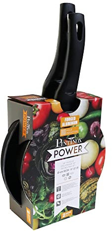 Pintinox Set 2 Padelle Energy, in Alluminio Forgiato, Adatto l'Induzione, Interno Antiaderente, Manico in bachelite Soft Touch, Diametro 20-24 cm