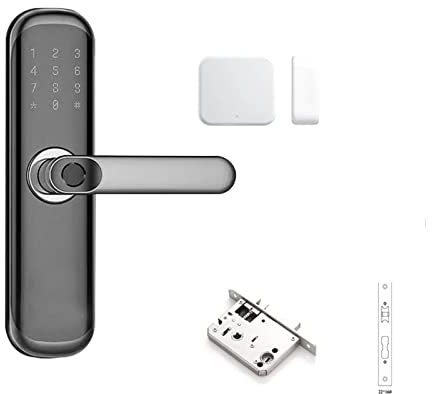 STRAFBRG Maniglia per porta intelligente Impronta digitale biometrica Tastiera digitale Codice di accesso senza chiave Serratura intelligente con maniglia Serrature intelligenti antifurto(Kit9)