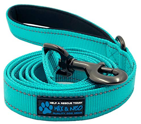 Max and Neo Reflective Nylon Dog Leash - We Donate One for Every Sold (Teal, 4x1)