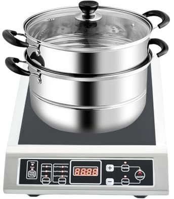 Plaque de cuisson à induction, 1 plaque de 3500 W, plaque de cuisson de 30 cm, plaque à induction portable, 10 niveaux de chauffage, efficacité APF à 3 niveaux, fonction booster, noir, 220-240 V