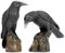 Design Toscano Raben der mystischen Nacht Statuen, Maße: 11,5 x 5 x 15 cm, Vollfarbig.