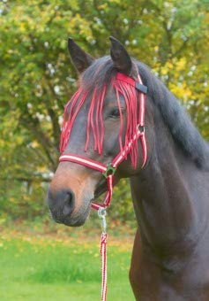Kerbl Fliegenfransenband mit Velcro- Verschluß, dunkelrot, Pony