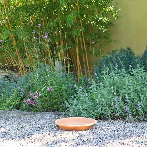 Palatina Keramik hochwertige runde Untersetzer aus Terracotta, 25 cm Durchmesser, Unterteller perfekt für Blumentöpfe und Pflanzgefäße