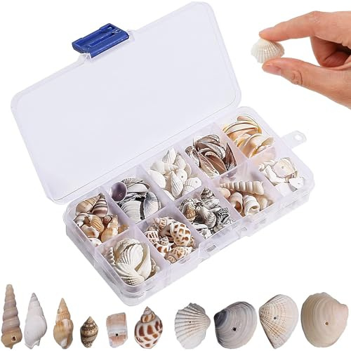 Teouuas Etwa 200 Piezas Cuentas Naturales de Conchas Marinas, Conchas Marinas Mixtas de Playa, Perforadas Concha de Mar Naturales, para Hacer Joyas de Verano Decoración Fiestas