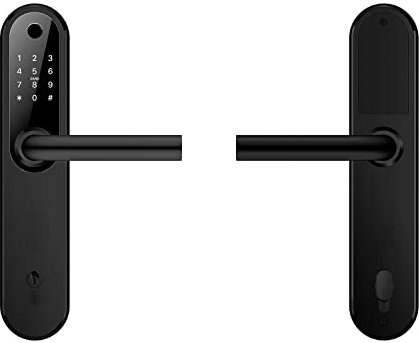 Gelikom Smart Home Türgriff mit Fingerprint, Karte und PIN, verwaltbar mit APP, Schwarz