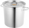 Olla de acero inoxidable de 35 L, de inducción, olla de acero inoxidable y fácil de limpiar con asas de alambre, olla de acero inoxidable con tapa y 2 asas, para todo tipo de cocinas, color plateado