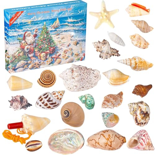 Calendario dell'Avvento 2025 Conchiglie, 24 giorni Conto alla Rovescia Sorprese Marino Animali Calendario dell'Avvento Regali di Natale Ragazze Ragazzi 3-12 anni