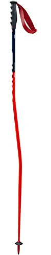 Swix WC Pro Super-G Aluminum Alpine Ski Pole for Racing and Freeriding, 120 cm