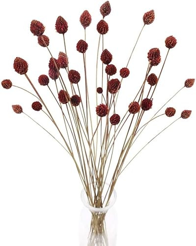 Minnhua 30PCS Fiori Secchi Naturali per Decorazioni Bouquet Fiori Secchi Composizione Fiori Essiccati Rami Decorativi per Vaso Alto Fiori Autunnali per Decorazioni Casa Ufficio Balcone Fai da Te