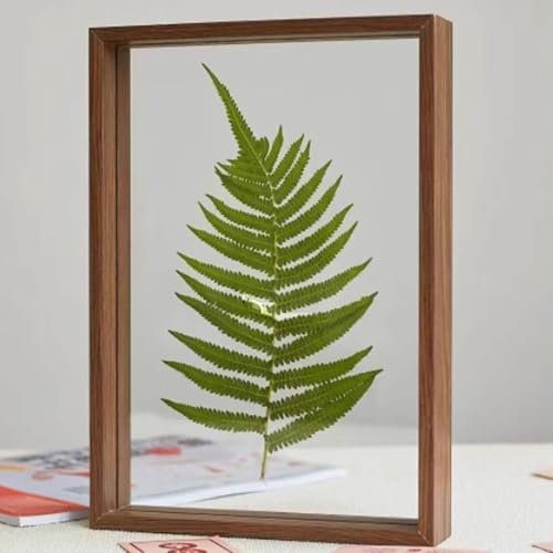 Serenitison Cornice per foto in vetro trasparente a doppia faccia, foto in legno, cornice flottante a doppia faccia, cornice per foto di piante essiccate a foglie, cornice per foto per calligrafia,