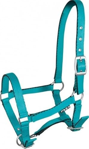 York Fohlenhalfter Mini Halfter Pferdehalfter Tobi versch. Farben (türkis)