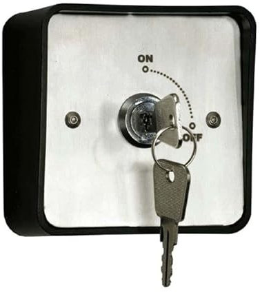 RGL Pair of Keys for KS-2 On/Off Momentary Key Switch with Stainless Steel Plate, Weatherproof Surface Mount