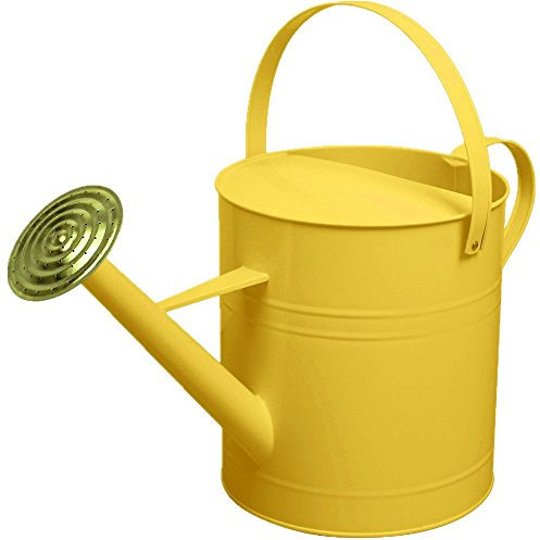 CrazyGadget® Garden Plant Flower Colour Galvanised Metal Steel Watering Can 9L 9 Litre / 2 Gallon with Brass Rose (Yellow)