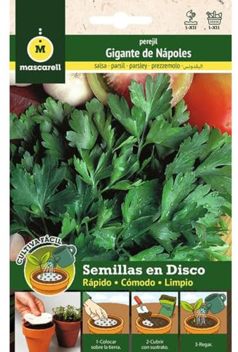Mascarell Graines, Persil géant d'Italie, culture facile, créez votre propre potager à la maison, disque 8 cm