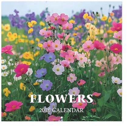 Blommig väggkalender - 28 x 35 cm datumplanerare, månadsbok, hängande organisatör, dekorativ, papperspanel, visuell anteckningstabell | Mjukt skrivområde för