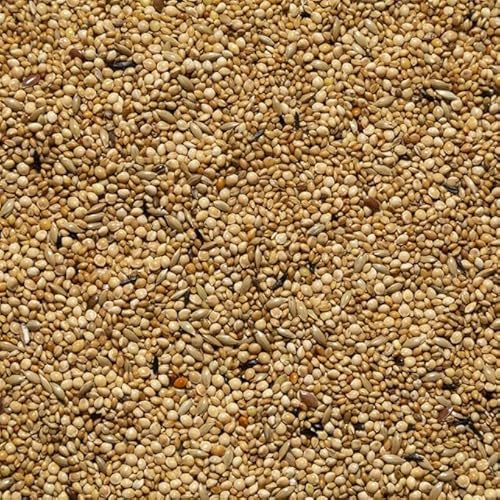 Il Contadino - Antichi Becchimi | MISCUGLIO per ESOTICI | Formula Ricca di Semi Selezionati Adatta per Tutto L'Anno, No OGM, 100% Vegetale, Assenza di scarti. qualità Superiore (5 kg)
