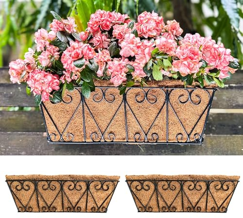 LaLaGreen Wall Planters - 2 Pack, 16 Inch Window Flower Boxes Outdoor, Deck Railing Hanging Metal Wire Basket Black with Coco Liners Horse Troughs Fence Balcony Garden Farmhouse Patio Porch Over Rail