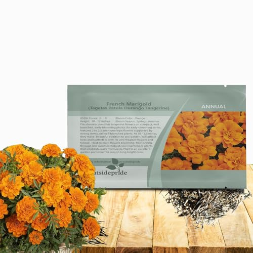Outsidepride Durango Tangerine French Marigold Seeds - 250 Pcs Annual, Compact, Heat & Drought Tolerant Flower Seeds for Planting w/Anemone Type Blooms, Ideal for Vibrant Pollinator Gardens