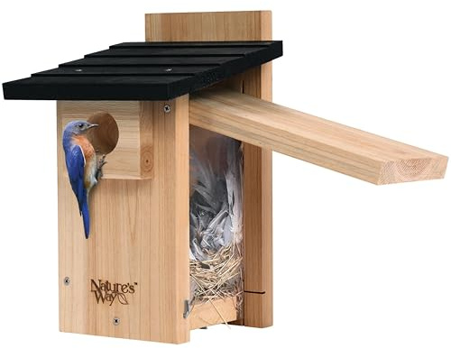 Nature's Way Bird Products CWH4 Cedar Bluebird Viewing House