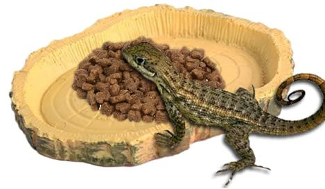 Schildkröten-Futternapf – Flacher Reptiliennapf │ Schildkröten-Futternapf │ Flacher PVC-Gecko-Futternapf, leichte & kompakte Terrarien-Futterschale für Bartagamen, Chamäleon, Amphibien