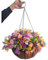 Home and Outdoors Silk Chain Hanging Basket Flowerpot Flowers DIY Artificial Daisy Red Flowers and Pink Flowers Purple (Big Basket)