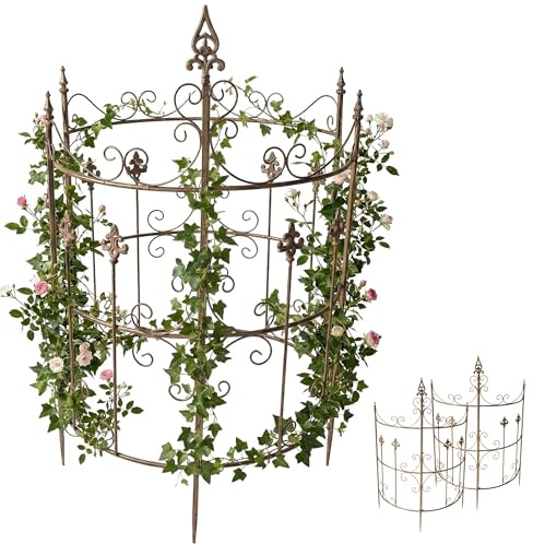 CLP Enrejado metalico Clivia, Juego de 2, Soporte Decorativo con Puntas Ornamentales, facil de Montar, Ideal para Rosales y clematides, Color:marrón