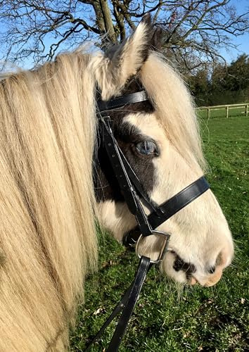 Flat Hunter Snaffle Bridle with Rubber Reins - M&M/Native/Shetland/Cob/Show - All Sizes Black / Pony
