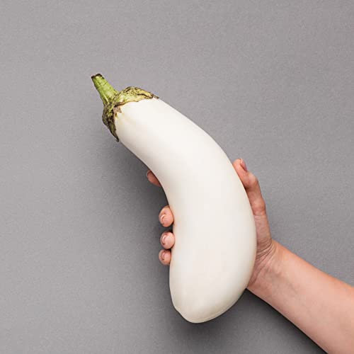Aubergine Pflanzen Weiß, Aubergine Samen F1, Saatgut Gemüse Garten, Balkon Gemüse Samen Saatgut, Garten Geschenk Geschenke Für Gartenfreunde, Aubergine Samen Bio - 150 Stück