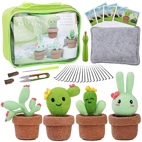 Bamru Fieltro - Juego de fieltro con caja, 4 piezas de fieltro de lana de cactus, accesorios de fieltro de aguja con almohadilla de fieltro, lana de fieltro, instrucciones (idioma español no