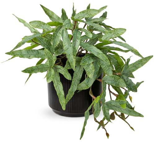 Briful 9 Small Artificial Fern Plants Indoor Pteris Cretica Fake Plants, Faux Fern in Black Ceramic Pot Decorative Artificial Plants for Home Living Room Kitchen Bathroom Decor