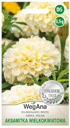 WegAna Seeds Calendula bassa Kilimanjaro bianca 0,5g - Piante da giardino a fiore grande Piante da balcone Piante da pascolo per api Semi di fiori