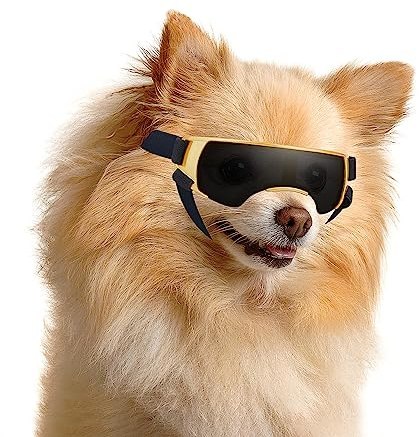Enjoying Small Dog Sunglasses UV Protection Windproof Antifog Doggy Goggles for Pet Eye Wear, Gold