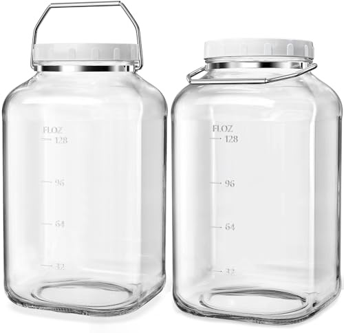 Absovetu 2 Pack Large Glass Jars with Lids Airtight 5.7 Litre - Square Glass Storage Jars with Handle Wide Mouth Mason Jar for Pasta Rice Pickle Cookie Sweet Biscuit Storage Containers
