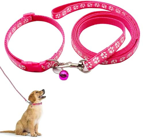 Collare Cane, Guinzaglio per Cani, Guinzaglio, Guinzaglio Cani, Collari per Cani, Collare Cane Taglia Piccola, Per Cani Piccoli, Rosso Rosa