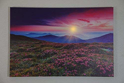 Dapo® LED-Wand-Leinwand-Bild-Leuchte-Lampe 60x40cm Stimmungs-Dekorations-indirekte-Leuchte-Lampe-Beleuchtung Batteriebetrieben, Ein/Aus-Schalter (Sonnenaufgang)