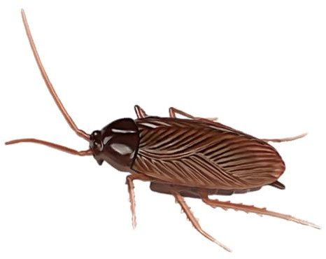 Fake Roaches – Elektrisk Walking Prank Leksak Med Vibrerande Rörelse 11x6 | 5cm | Realistisk PP Gag-present för och vuxna | Batteridriven Rörlig Kackerlacka Fest Kul Prop