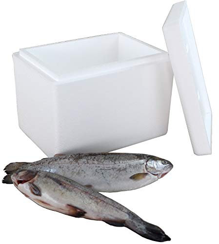 2 Thermoboxen Styropor 4,4Liter mit Deckel - Kühlbox Styropor - Wiederverwendbarer Isolierbehälter/Transportbox | Große Styropor Kühlbox