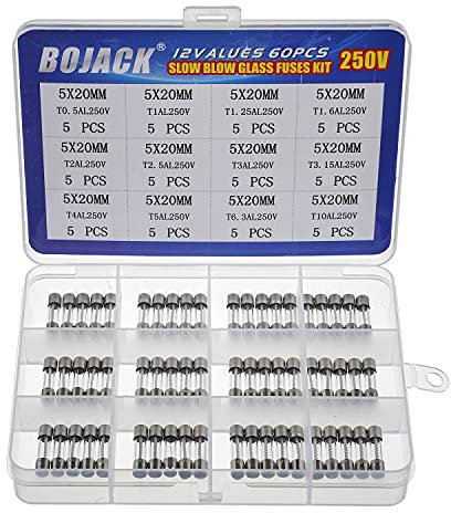 BOJACK 12 valori 60 pezzi Assortimento fusibili lenti in vetro 5x20mm 250V T0,5A 1A 1,25A 1,6A 2A 2,5A 3A 3,15A 4A 5A 6,3A 10A Confezione in scatola di plastica trasparente