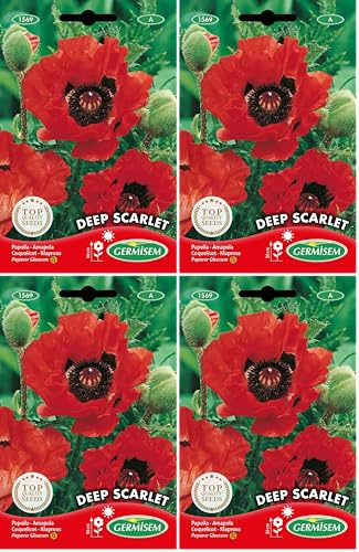 Germisem Deep Scarlet Semillas de Amapola 1 g (Paquete de 4)