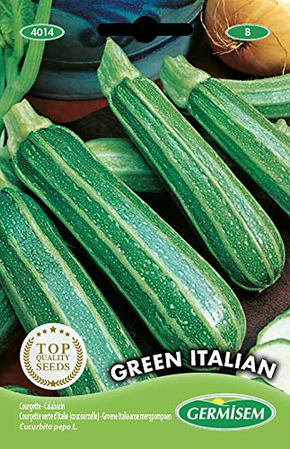 Germisem Green Italian Semi di Zucchine 3 g