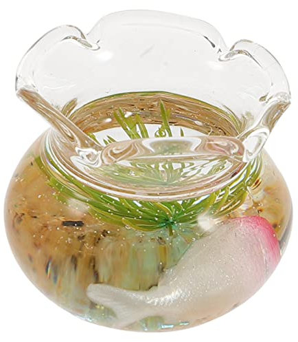 Vaguelly Koi Tank Aus Glas Kleines Zubehör Aquarium Für Puppenhaus Miniatur Puppenhaus Zubehör Kleine Dinge Puppenhaus Zubehör Mini Miniatur Aquarium Modell Mini
