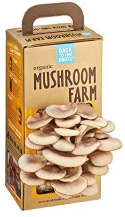 BACK TO THE ROOTS Organic Mushroom Farm, 1 EA